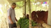 Xã Lấp Vò: Tăng cường phổ cập bơi cho trẻ dịp hè