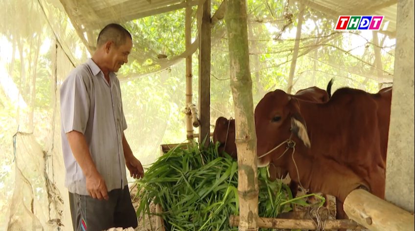 Đồng Tháp ứng phó nguy cơ xâm nhập bệnh lở mồm long móng