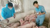 Mẹ, con cùng bị xuất huyết não nằm một chỗ cần giúp đỡ