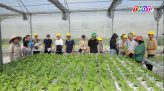 Xã Lấp Vò: Tăng cường phổ cập bơi cho trẻ dịp hè