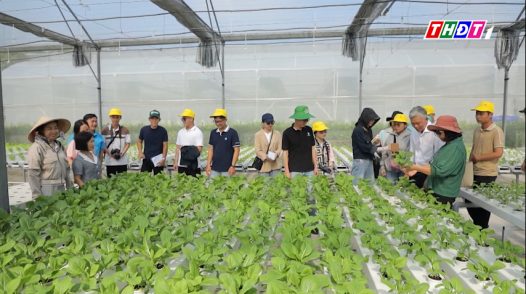 Công nghệ mở lối cho nền nông nghiệp xanh