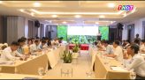 Thứ trưởng Công Thương lý giải lộ trình chuyển đổi xăng E10