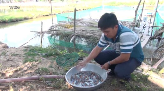 Cá heo nước ngọt tăng giá trong mùa lũ