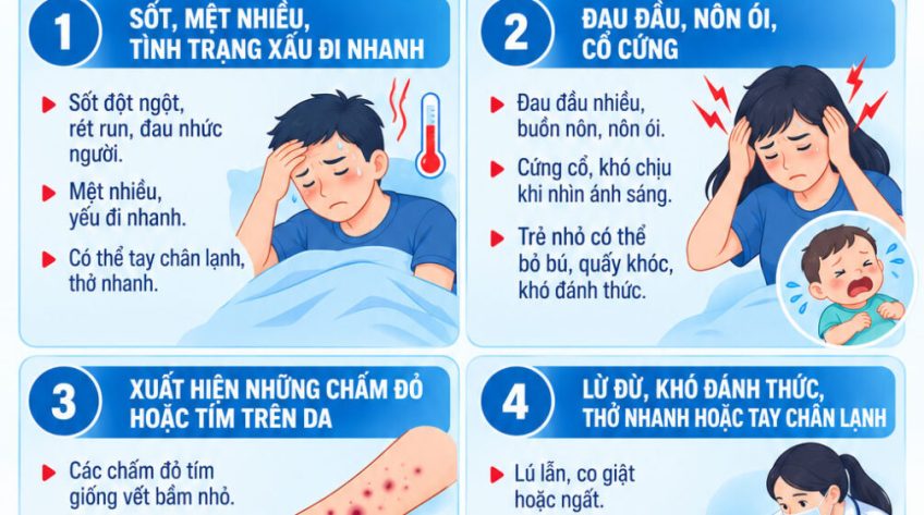 [Infographic] Viêm não mô cầu: 4 nhóm dấu hiệu nguy hiểm cần nhận biết sớm