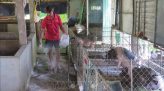 Đồng Tháp gần 2.500 thí sinh cạnh tranh suất vào trường chuyên