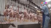 Giá vàng ngày 30/9: Phục hồi sau phiên giảm mạnh