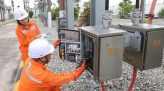 Đồng Tháp: Dưa leo được giá, nông dân phấn khởi