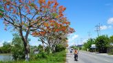 Hai chính sách then chốt để bảo vệ thế hệ trẻ Việt Nam khỏi thuốc lá