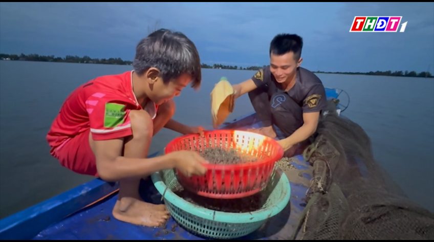 Người dân Đồng Tháp tăng thu nhập nhờ kéo ốc bươu vàng mùa nước