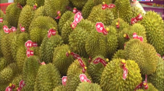 Sầu riêng đầu vụ nghịch được giá