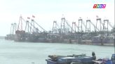 Nhộn nhịp mùa làm khô mực, cá biển