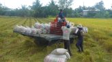 Nông nghiệp Thái Lan lao đao vì 
