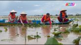 Giá phân bón bật tăng khi vào vụ mới