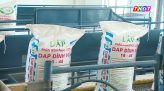 Du lịch Đồng Tháp nhộn nhịp dịp Lễ 2-9