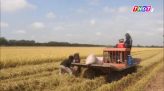 Thêm 1 trường hợp tử vong do bệnh dại tại Đồng Nai
