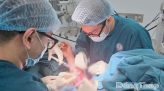 Nền tảng liên lạc và tiện ích số Viettel Tammi: Cán mốc 20 triệu người dùng sau gần 3 tháng ra mắt