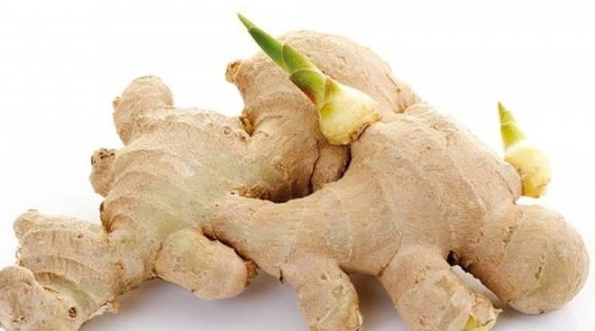 Ăn gừng mọc mầm - Những cảnh báo ít ai biết