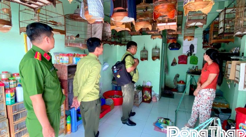 Kiểm tra và tuyên truyền bảo vệ động vật hoang dã tại xã Vĩnh Hựu