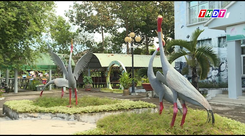 Phát triển 