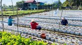 Đẩy nhanh thi công mở rộng cao tốc TP.HCM - Trung Lương - Mỹ Thuận