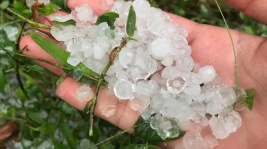 Mưa đá và dông lốc gây thiệt hại ở Hà Nội và một số tỉnh miền Bắc