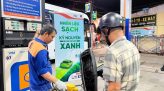 Chuyện của cây xoài Cao Lãnh