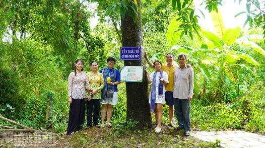 Đồng Tháp: Mỹ Thọ nâng giá trị xoài từ du lịch nông nghiệp