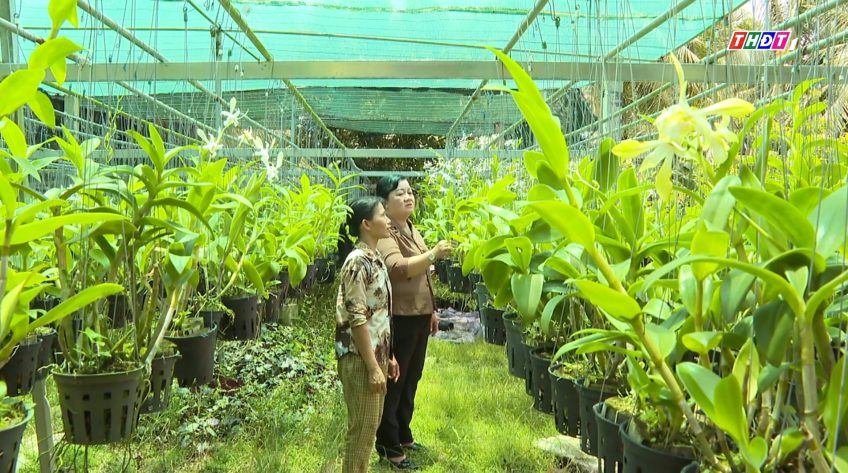 Hiệu quả từ nguồn vốn vay phát triển kinh tế gia đình