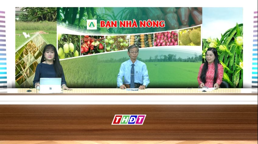 Bạn nhà nông - 07/12/2025: Chăm sóc tốt lúa đẻ nhánh- làm đòng