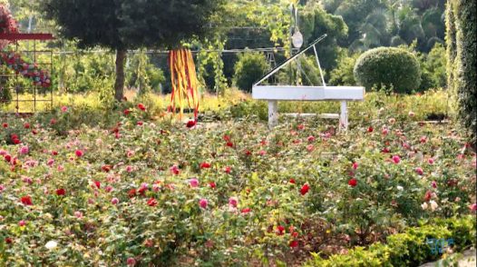 Phim tài liệu - 11/12/2025: Sa Đéc đất và hoa