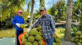 Giảm 15% giá vé máy bay cho người cao tuổi