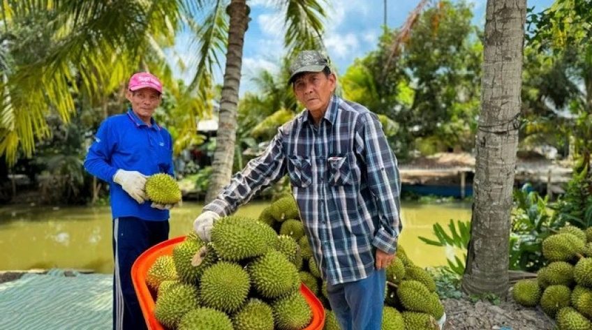 Cả nước nhập siêu 14 tỉ USD, nông sản vẫn xuất siêu 7,5 tỉ USD