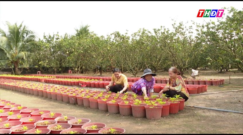 Hội LHPN xã Chợ Gạo - Điểm tựa cho phụ nữ khởi nghiệp