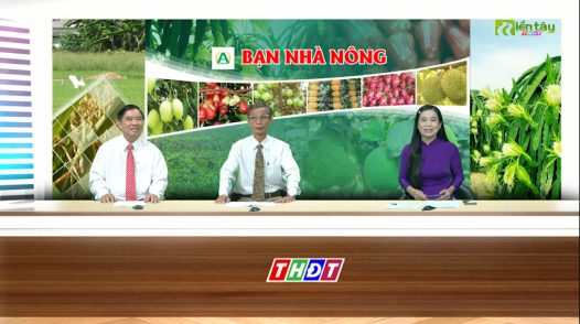 Bạn nhà nông - 13/9/2025: Để vụ trái cây Tết thắng lợi