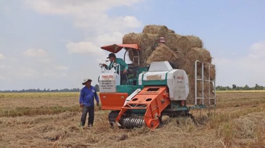 Đồng Tháp: Nông dân chủ động thích ứng với 