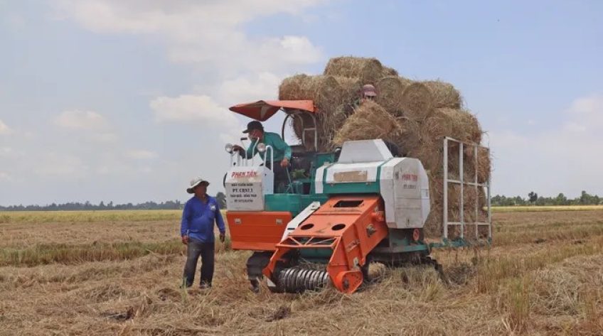 Đồng Tháp: Nông dân chủ động thích ứng với 