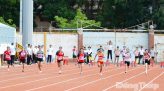 Tối thiểu 80% tổng đàn chó, mèo phải được tiêm phòng vắc xin dại