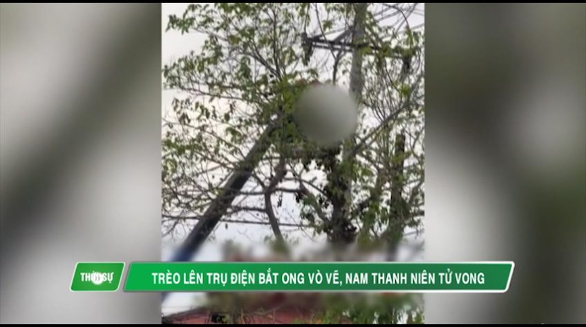 Trèo lên trụ điện bắt ong vò vẽ, nam thanh niên tử vong