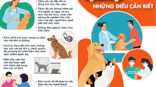 Tối thiểu 80% tổng đàn chó, mèo phải được tiêm phòng vắc xin dại