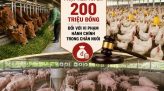 Siêu bão Dolphin giảm cường độ, di chuyển hướng về Trung Quốc