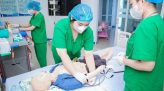 Nhộn nhịp du lịch miệt vườn
