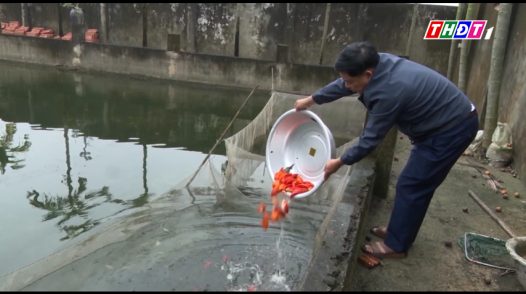 Làng cá chép đỏ hối hả chuẩn bị cho ngày 23 tháng chạp