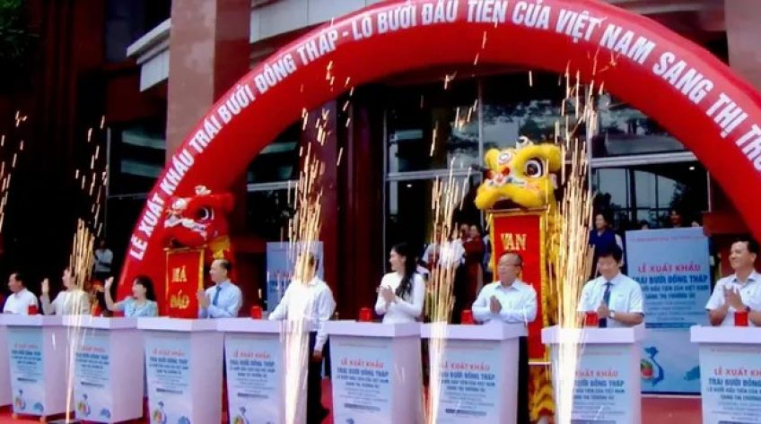 Đồng Tháp, Vĩnh Long xuất khẩu lô bưởi đầu tiên sang thị trường Úc