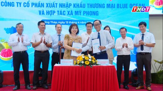 Đồng Tháp xuất khẩu lô bưởi đầu tiên sang Australia