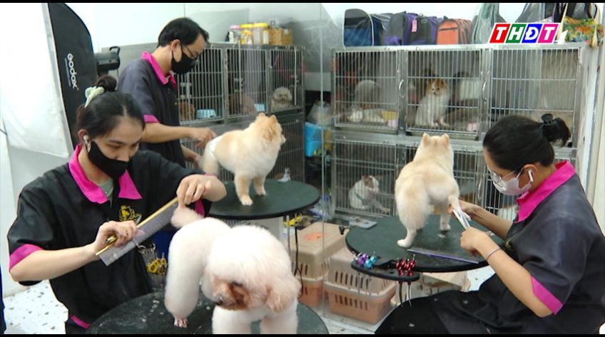 Dịch vụ chăm sóc thú cưng lên ngôi