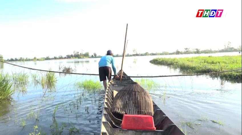 Đẩy côn và 