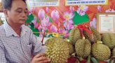 Xuất khẩu nông sản 'lãi ròng' lớn