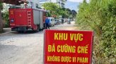 [Infographic] Nhớ ngay 4 việc cần làm khi bị chó cắn