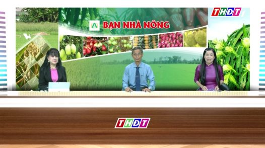 Bạn nhà nông - 17/11/2025:  Giải pháp bảo vệ lúa Đông Xuân đầu vụ