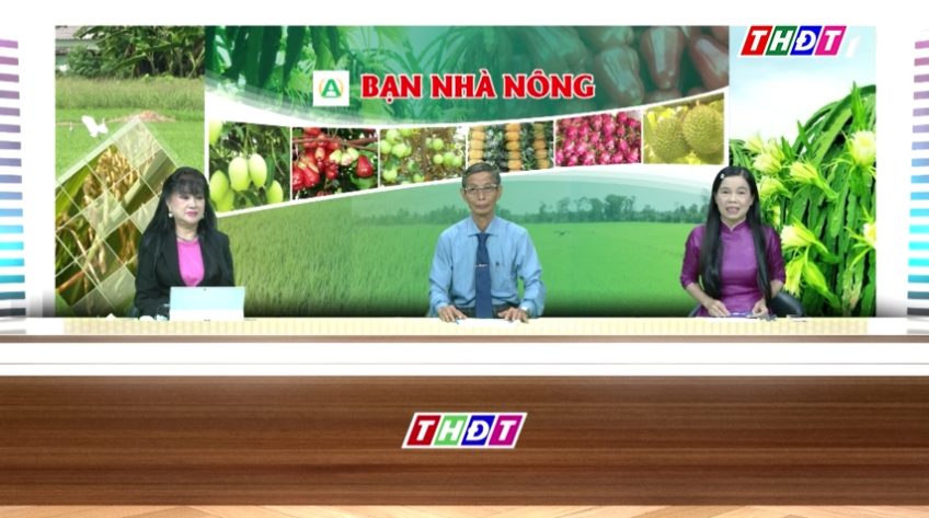 Bạn nhà nông - 17/11/2025:  Giải pháp bảo vệ lúa Đông Xuân đầu vụ